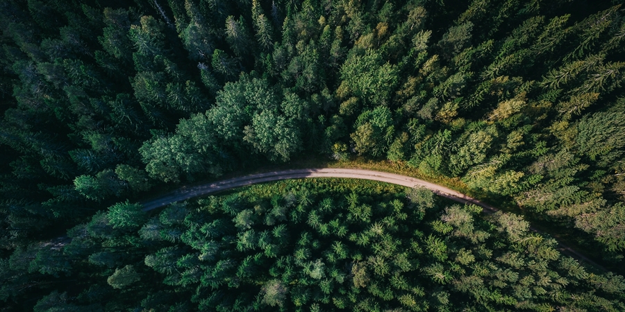 Skog och skogsväg fotograferat uppifrån.